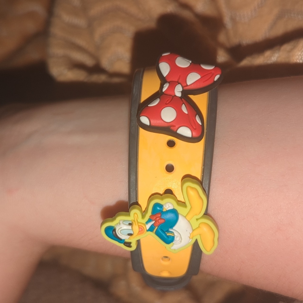 Magic band pins